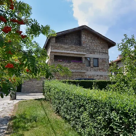 فيلة Vuchev