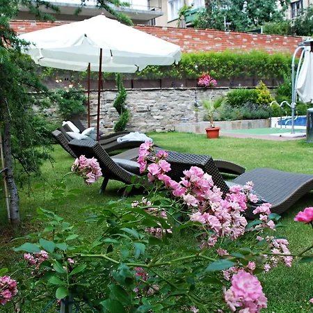 Vuchev